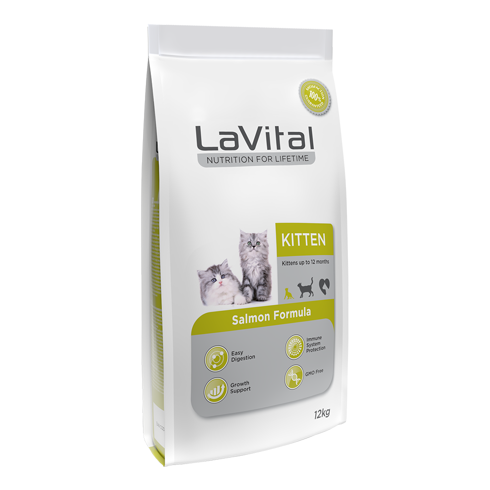 Yavru Kuru Kedi Maması (Kitten) Somonlu