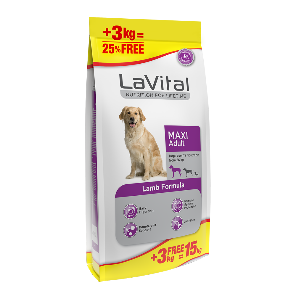 Büyük Irk Yetişkin Kuru Köpek Maması (Maxi Adult) Kuzu Etli