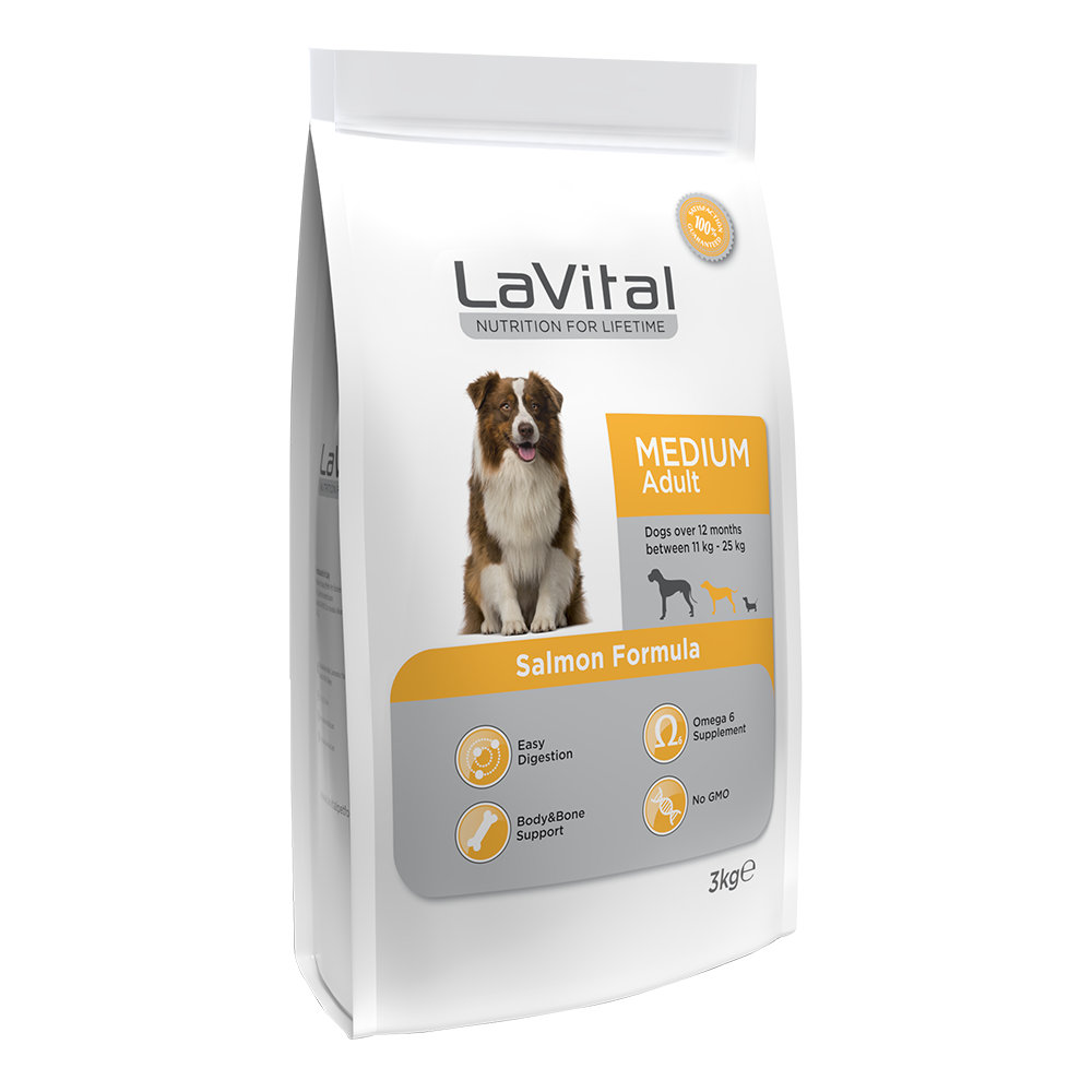 Orta Irk Yetişkin Kuru Köpek Maması (Maxi Adult) Somonlu