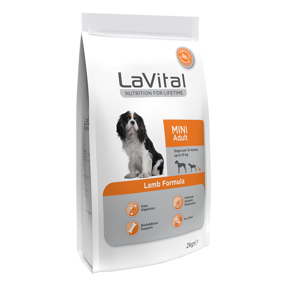 Mini Irk Yetişkin Kuru Köpek Maması (Maxi Adult) Kuzu Etli