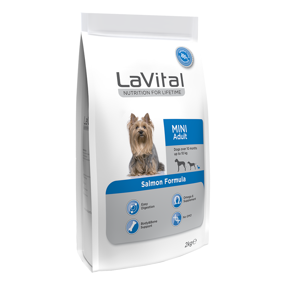 Mini Irk Yetişkin Kuru Köpek Maması (Maxi Adult) Somonlu